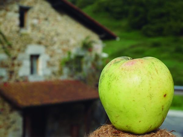 Petritegi y la levadura Urtebi Haundi