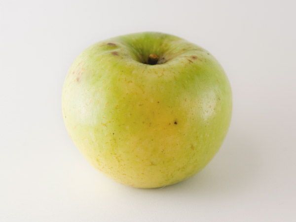 Manzana sidrera: Urtebi Txiki